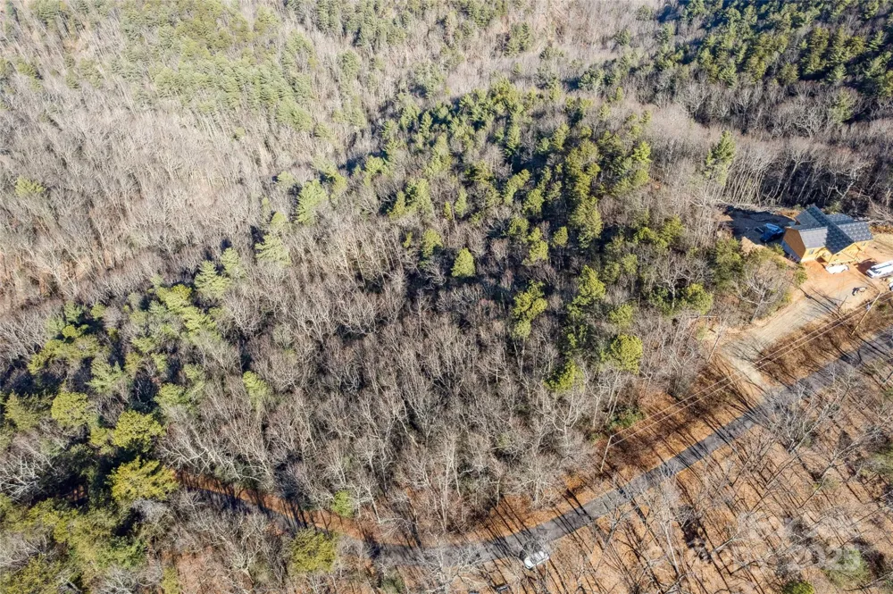 5241 pine ridge Drive Connelly Springs, NC 28612