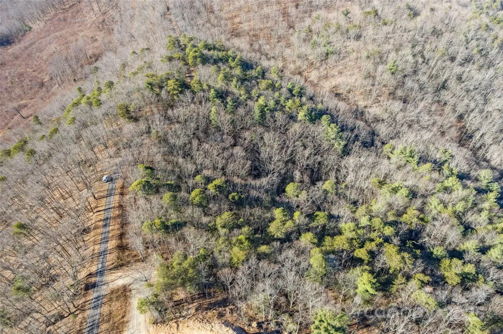 5241 pine ridge Drive Connelly Springs, NC 28612