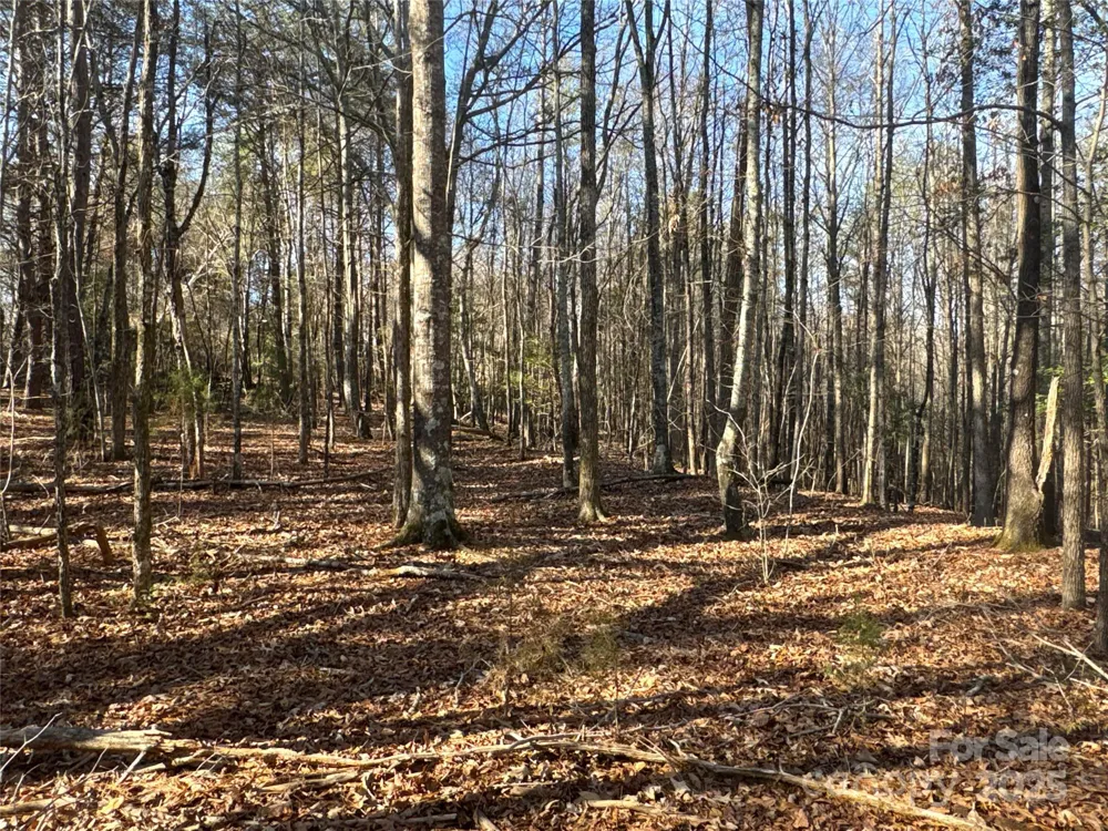 00 Ellis Ferry Road Shelby, NC 28152