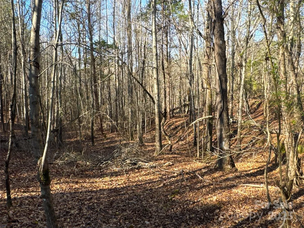 00 Ellis Ferry Road Shelby, NC 28152