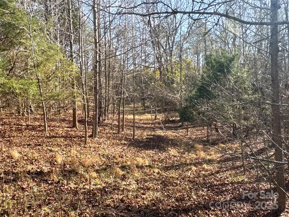 00 Ellis Ferry Road Shelby, NC 28152