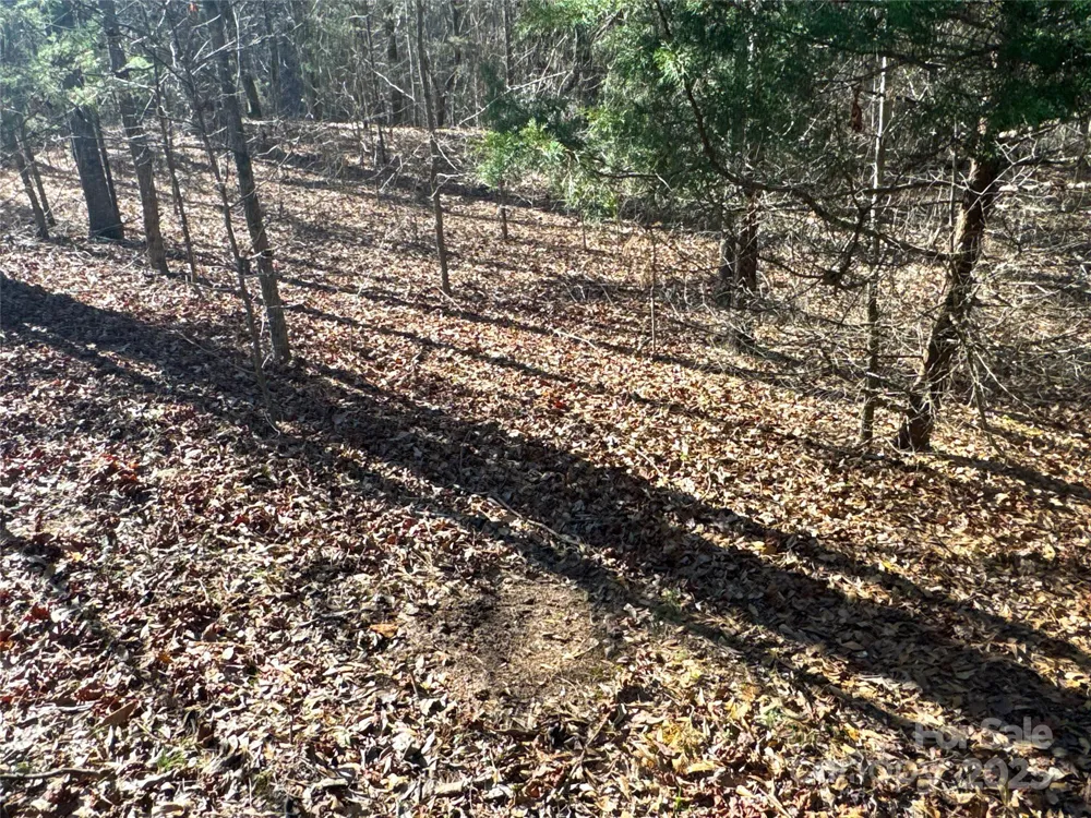 00 Ellis Ferry Road Shelby, NC 28152