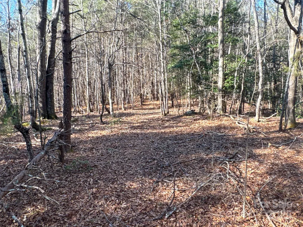 00 Ellis Ferry Road Shelby, NC 28152