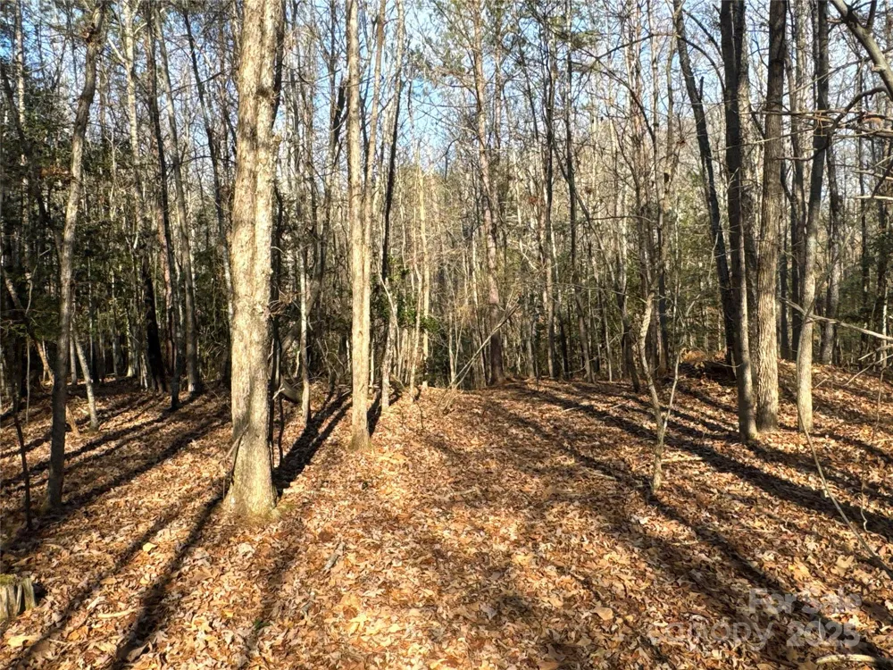 00 Ellis Ferry Road Shelby, NC 28152