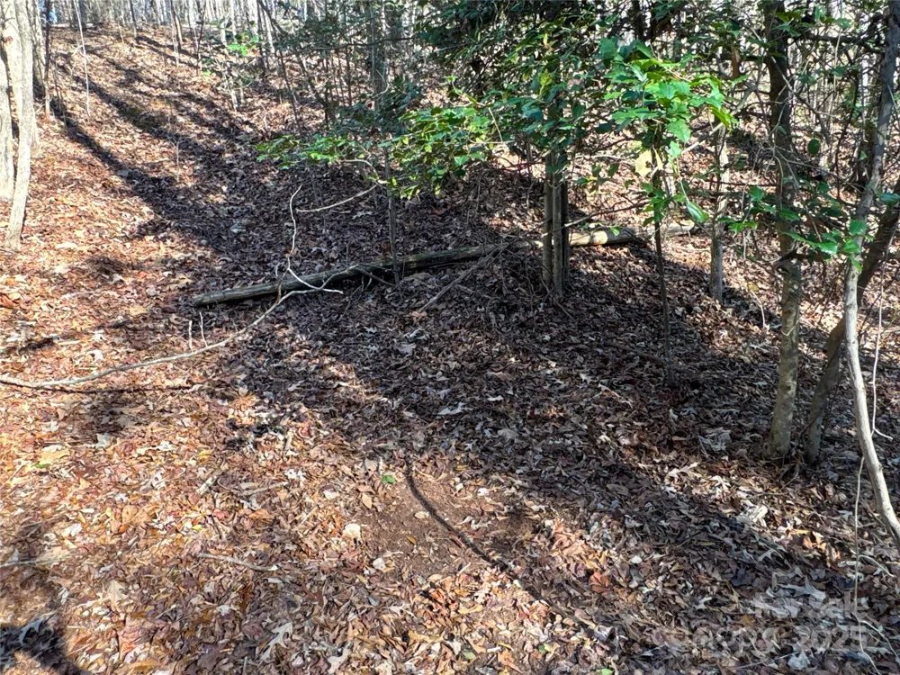 00 Ellis Ferry Road Shelby, NC 28152