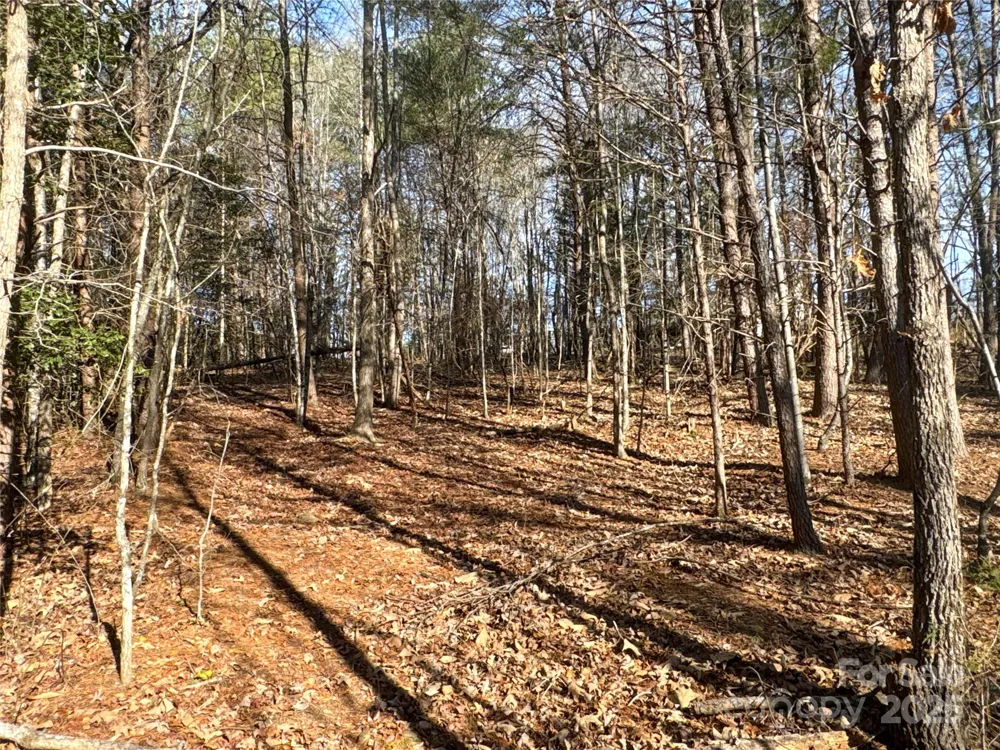 00 Ellis Ferry Road Shelby, NC 28152