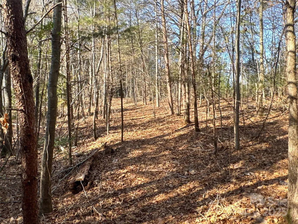 00 Ellis Ferry Road Shelby, NC 28152