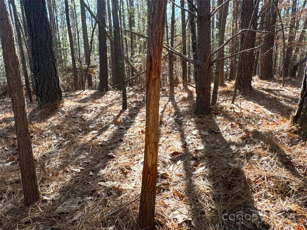 00 Ellis Ferry Road Shelby, NC 28152
