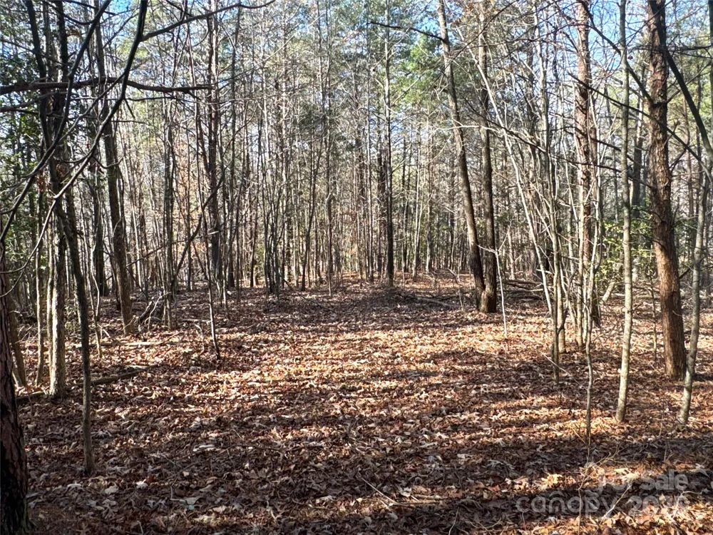 00 Ellis Ferry Road Shelby, NC 28152