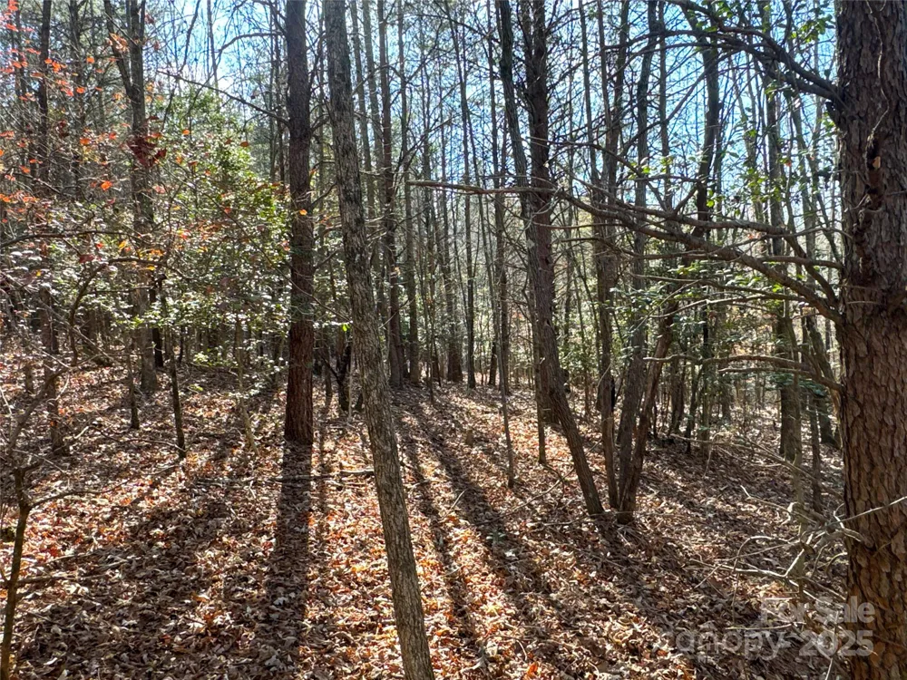 00 Ellis Ferry Road Shelby, NC 28152