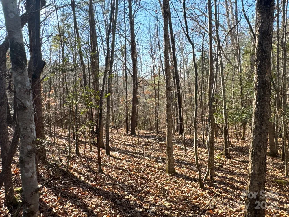 00 Ellis Ferry Road Shelby, NC 28152