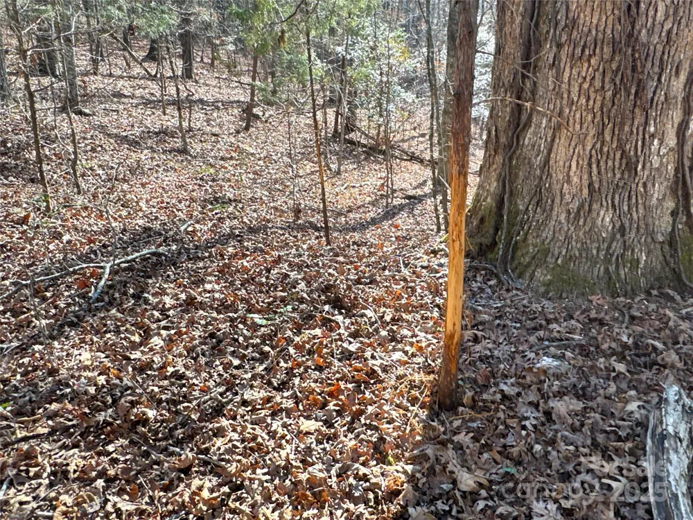 00 Ellis Ferry Road Shelby, NC 28152