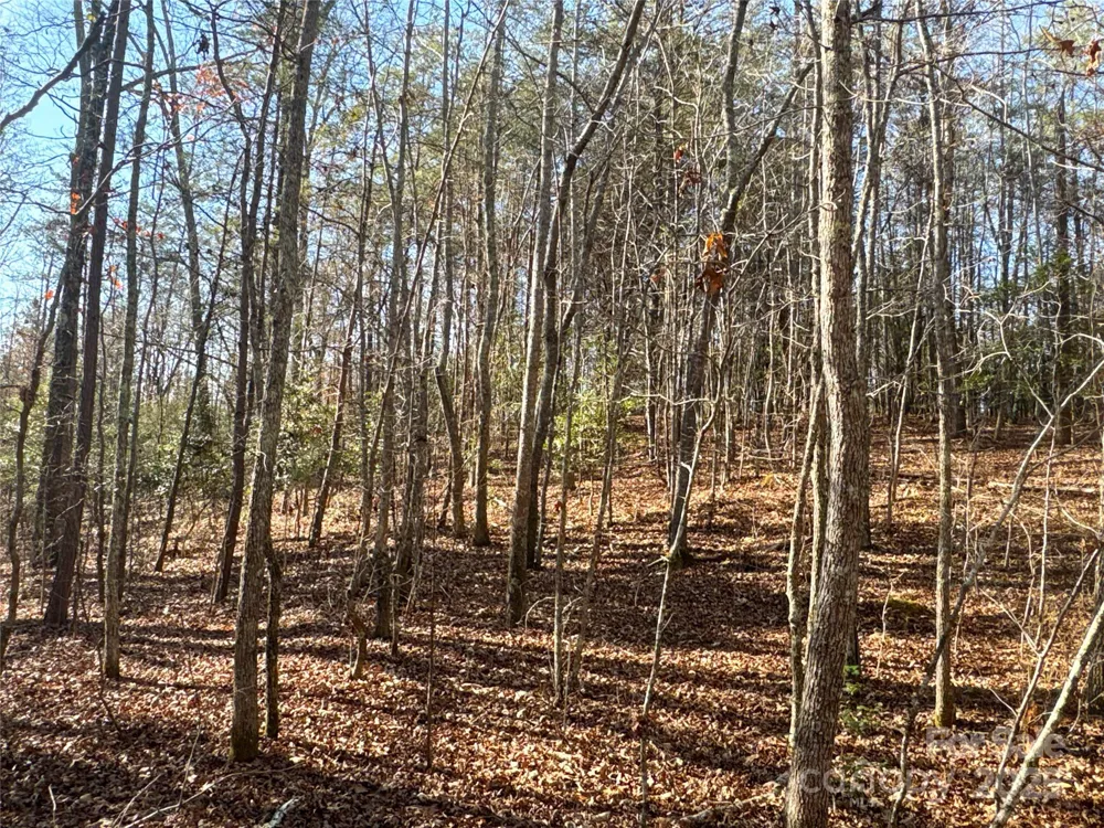 00 Ellis Ferry Road Shelby, NC 28152