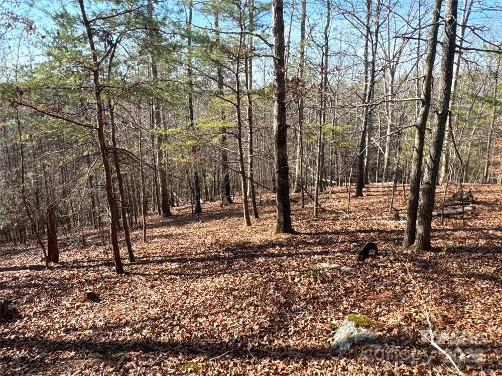 00 Ellis Ferry Road Shelby, NC 28152