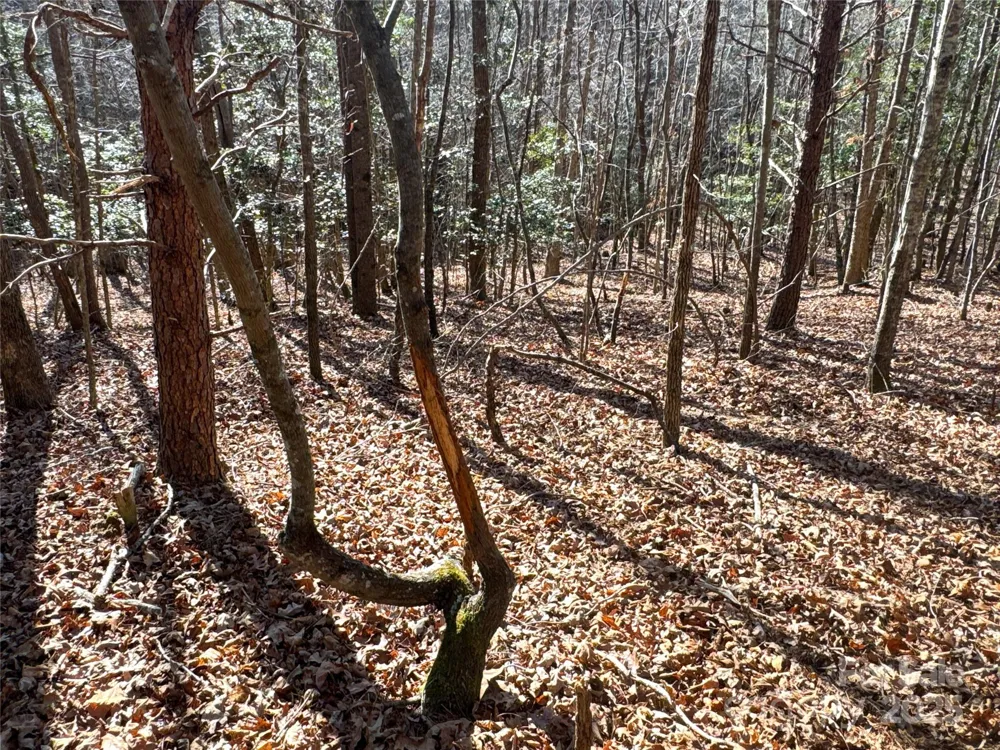 00 Ellis Ferry Road Shelby, NC 28152