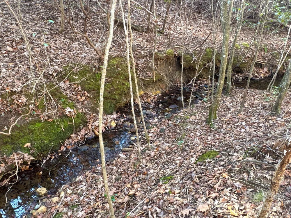00 Ellis Ferry Road Shelby, NC 28152