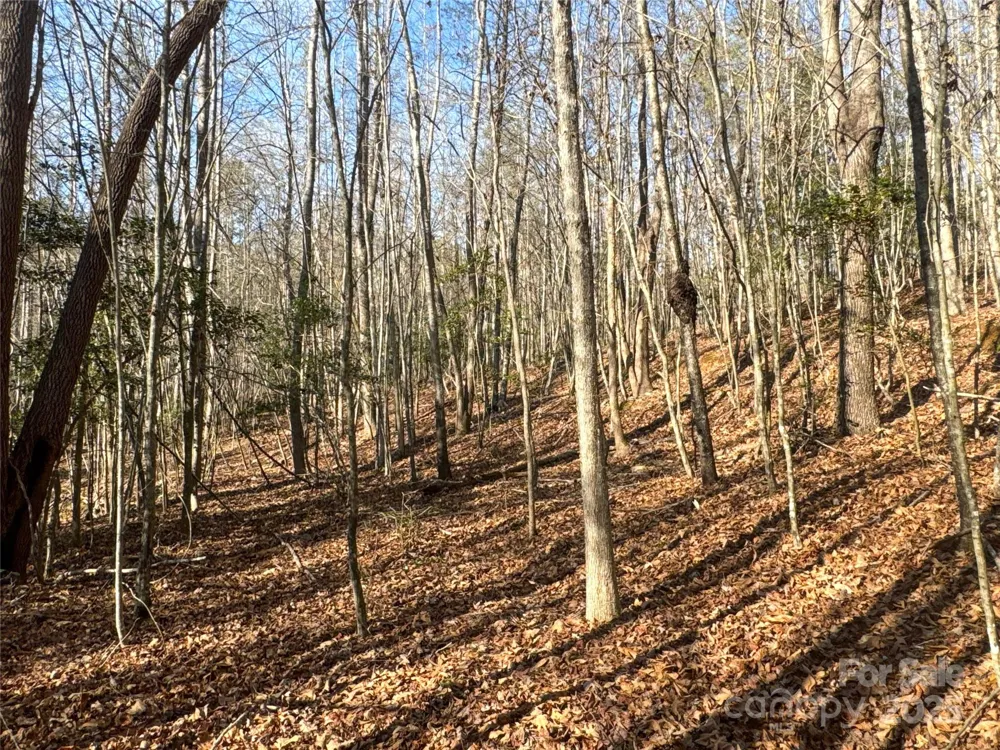 00 Ellis Ferry Road Shelby, NC 28152