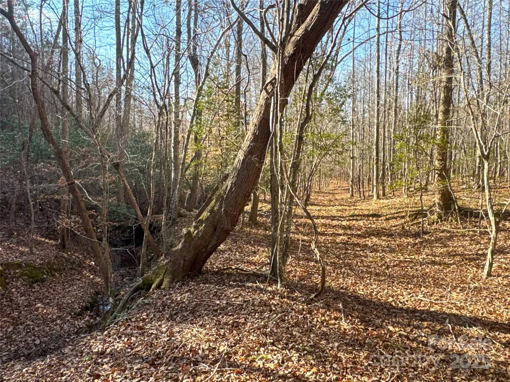 00 Ellis Ferry Road Shelby, NC 28152