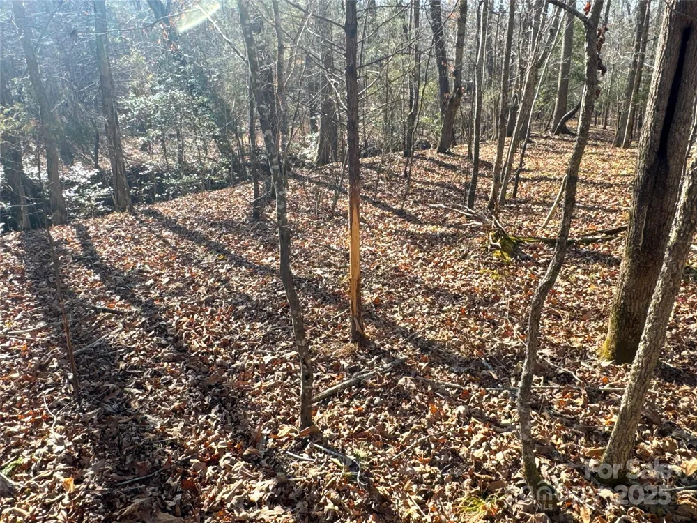 00 Ellis Ferry Road Shelby, NC 28152