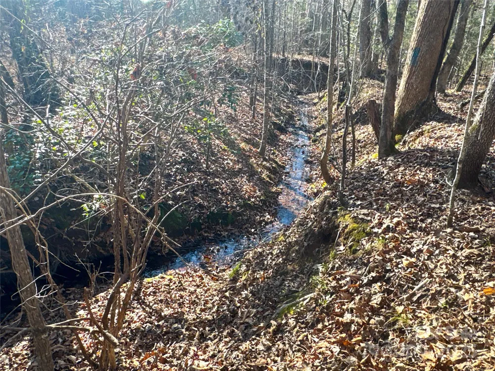 00 Ellis Ferry Road Shelby, NC 28152