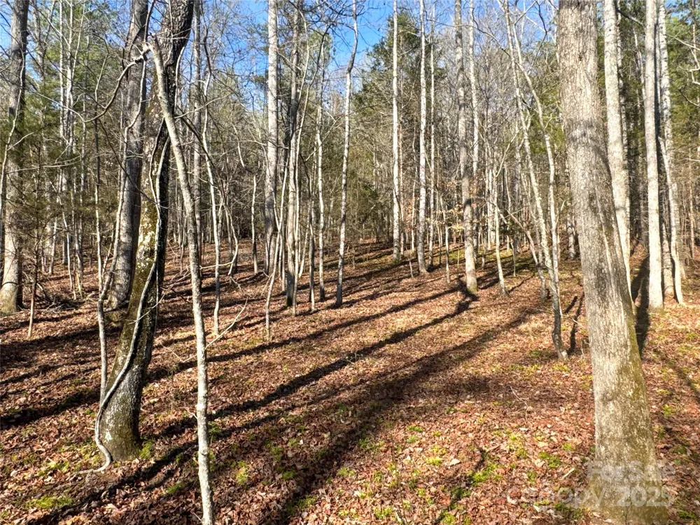 00 Ellis Ferry Road Shelby, NC 28152