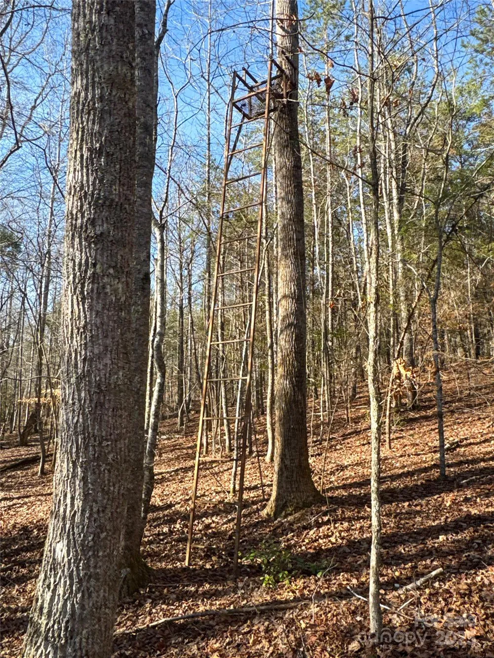 00 Ellis Ferry Road Shelby, NC 28152