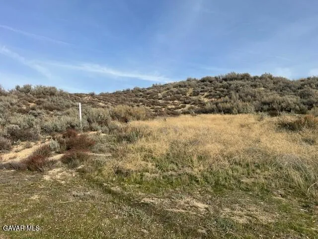 Arrowrock Dr Vic Montell Lake Elizabeth, CA 93532