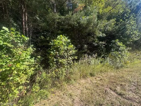 00 Parsonsville Road