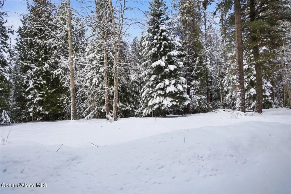 Lot 7 Hidden Harbor Ln Sandpoint, ID 83864