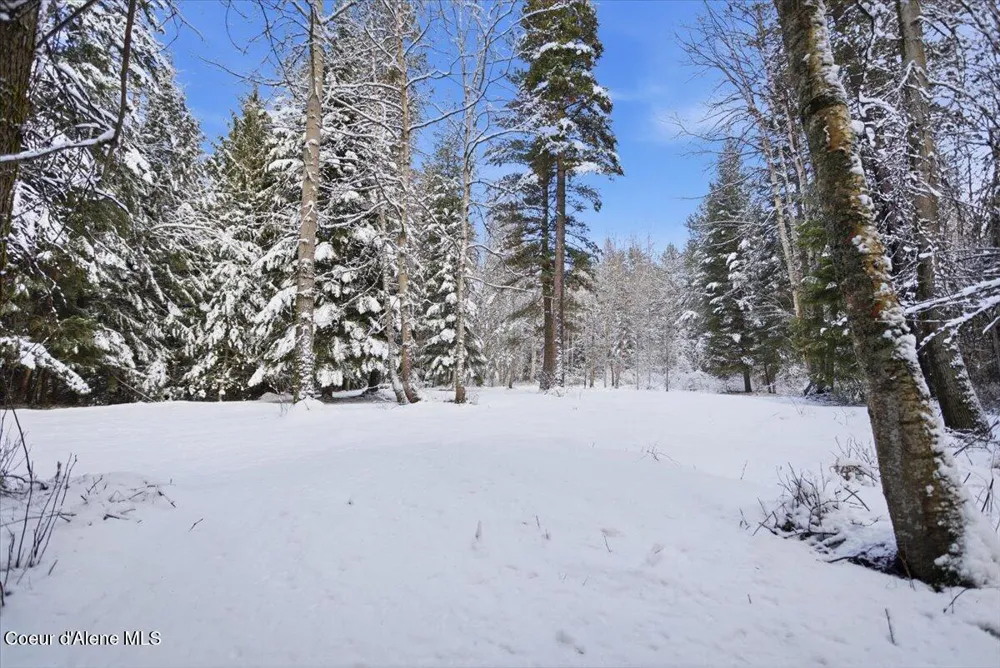 Lot 7 Hidden Harbor Ln Sandpoint, ID 83864