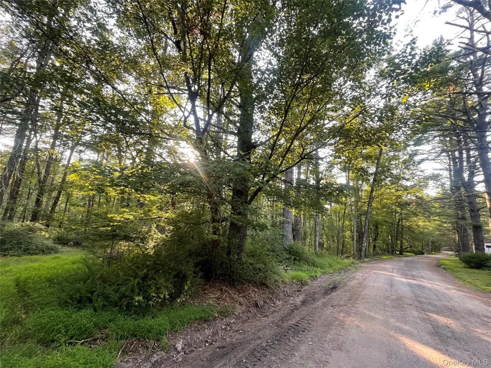 Loch Ada Road Barryville, NY 12737