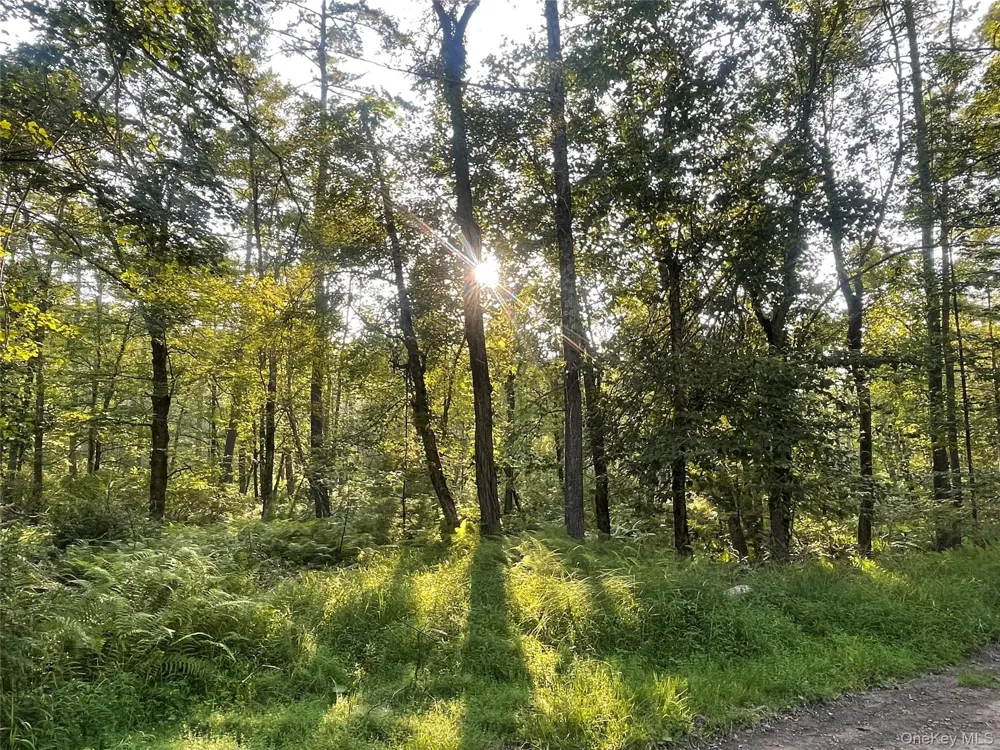 Loch Ada Road Barryville, NY 12737