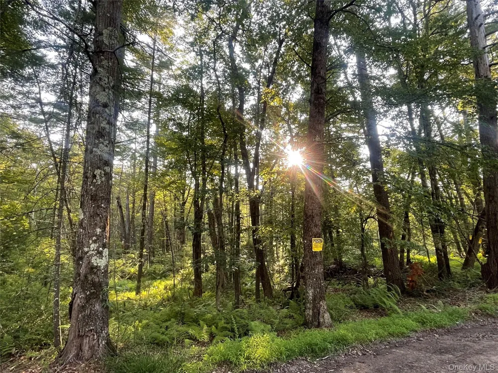 Loch Ada Road Barryville, NY 12737