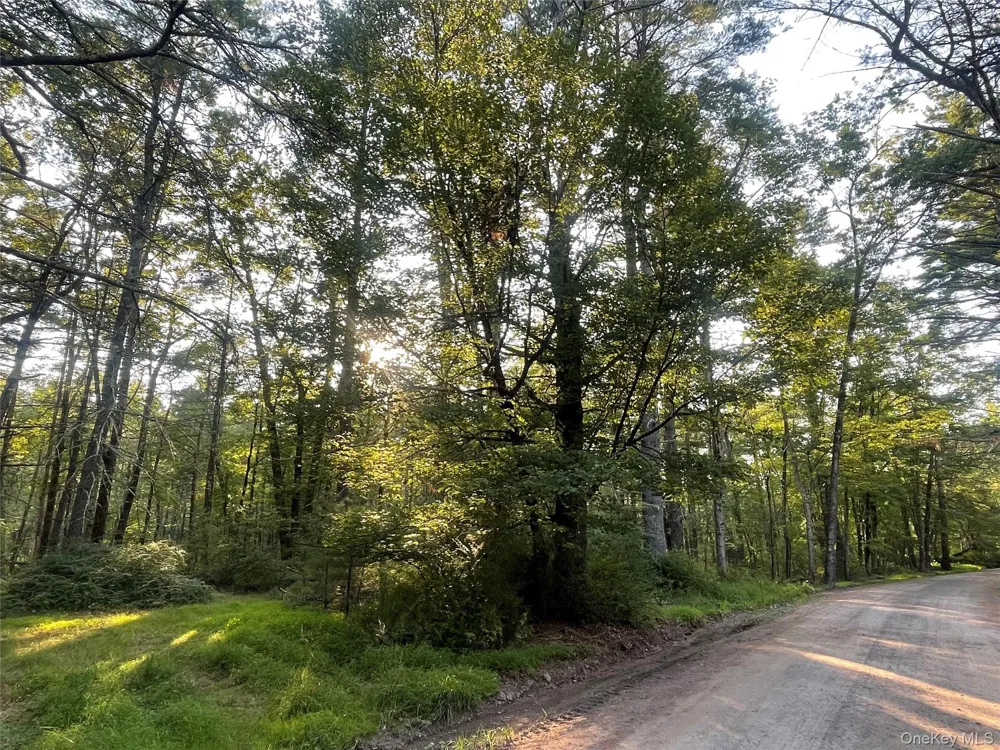 Loch Ada Road Barryville, NY 12737
