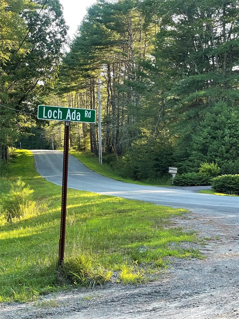 Loch Ada Road Barryville, NY 12737