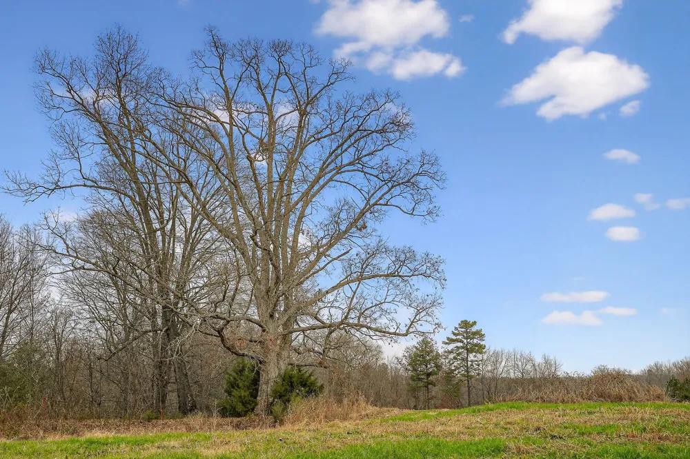 2578 Pea Ridge Rd Liberty, TN 37095