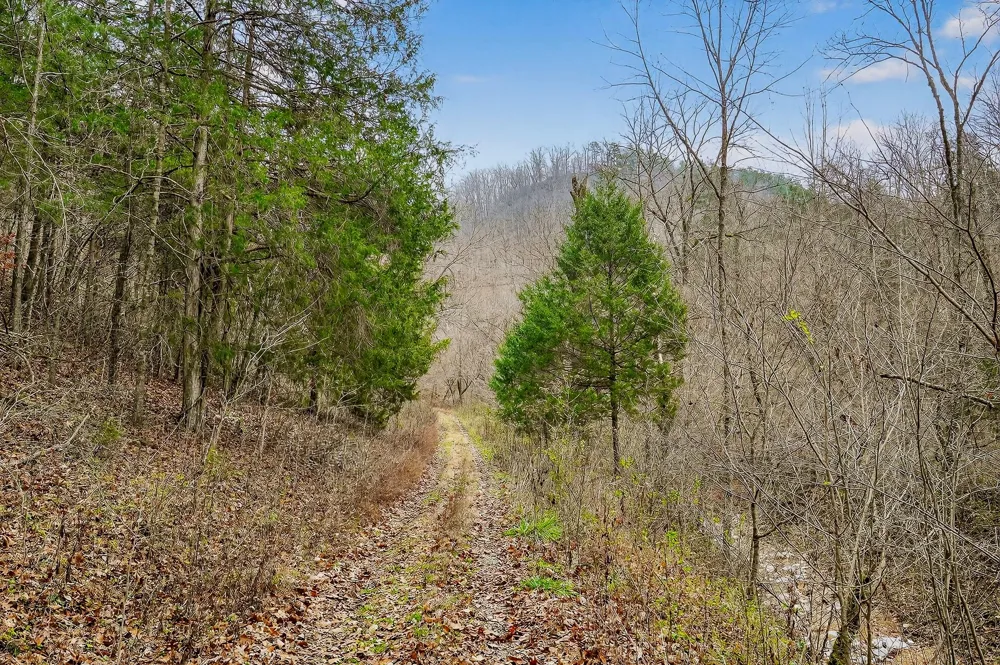 2578 Pea Ridge Rd Liberty, TN 37095
