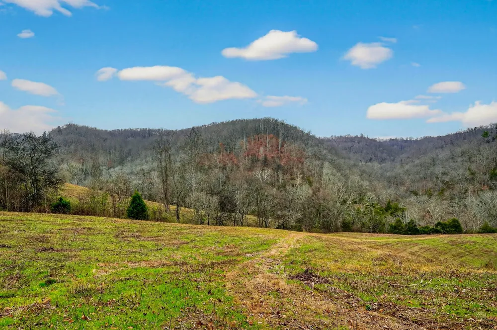 2578 Pea Ridge Rd Liberty, TN 37095