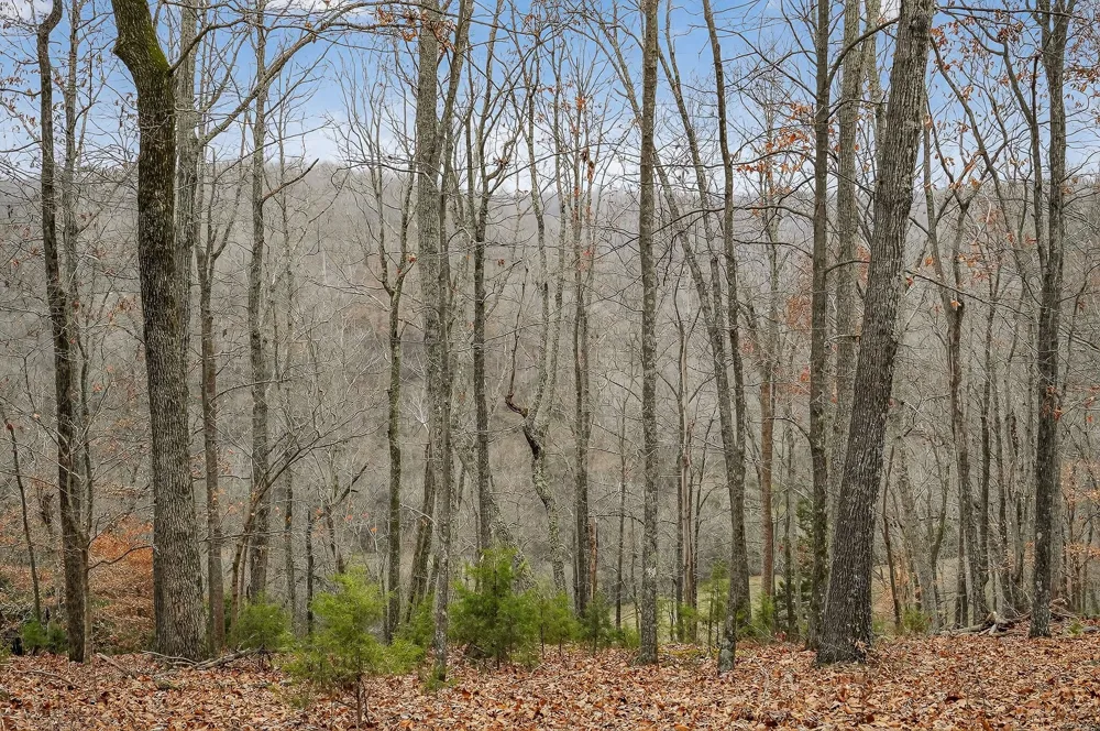 2578 Pea Ridge Rd Liberty, TN 37095