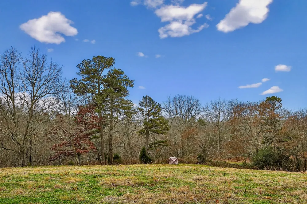 2578 Pea Ridge Rd Liberty, TN 37095