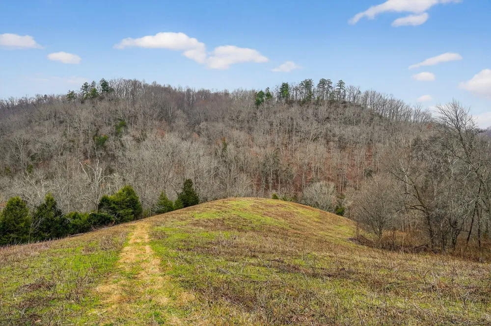 2578 Pea Ridge Rd Liberty, TN 37095