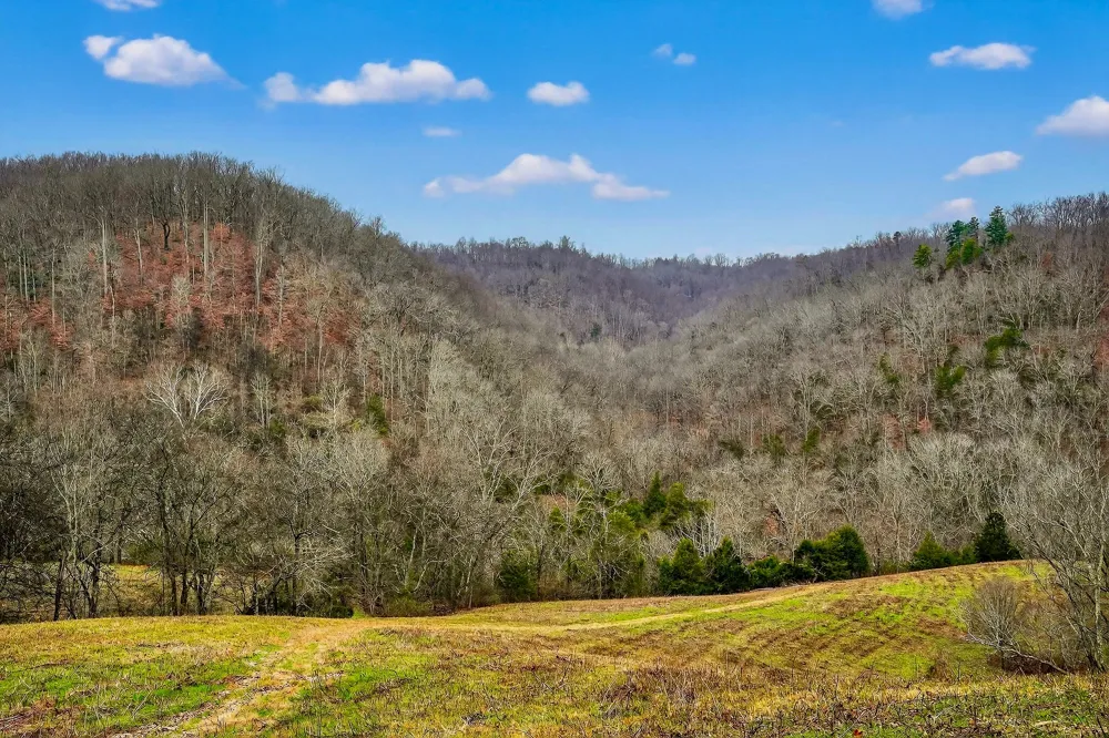 2578 Pea Ridge Rd Liberty, TN 37095