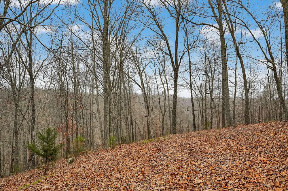 2578 Pea Ridge Rd Liberty, TN 37095
