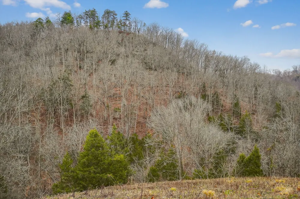 2578 Pea Ridge Rd Liberty, TN 37095