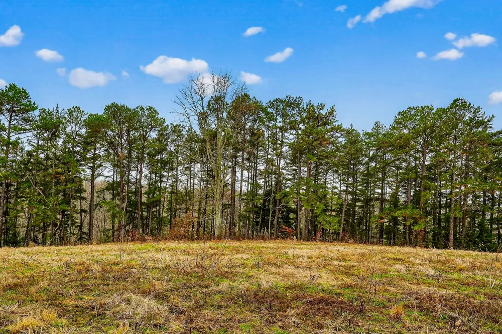 2578 Pea Ridge Rd Liberty, TN 37095