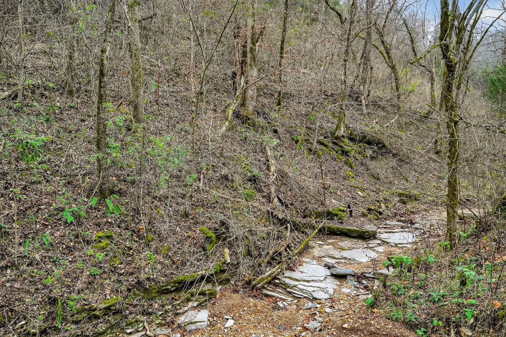 2578 Pea Ridge Rd Liberty, TN 37095