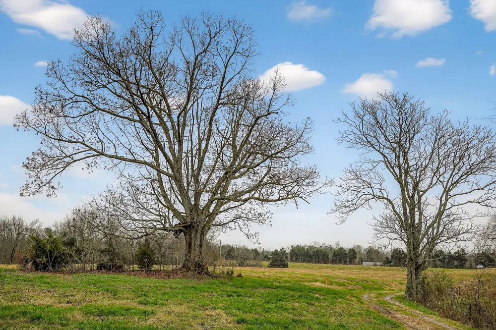 2578 Pea Ridge Rd Liberty, TN 37095