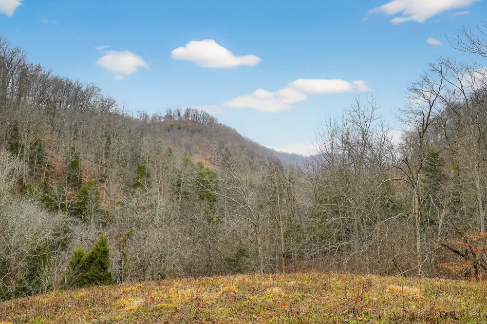 2578 Pea Ridge Rd Liberty, TN 37095