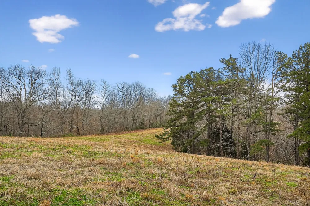 2578 Pea Ridge Rd Liberty, TN 37095