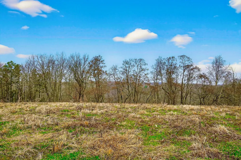 2578 Pea Ridge Rd Liberty, TN 37095